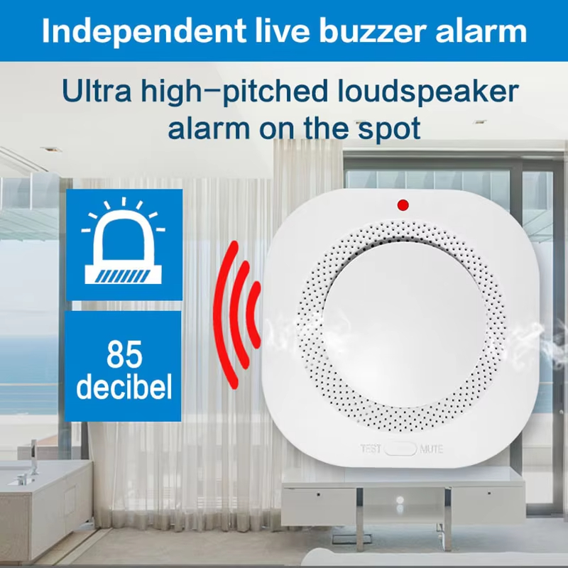 Smart Independent Smoke Detect - огляд і ціна Smoke Detector Interconnected