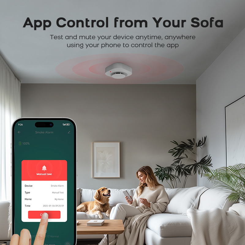 ZIGBEE Smoke Detector Home Sec - огляд і ціна Smoke Detector Interconnected