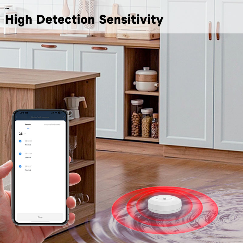 Tuya Zigbee2mqtt Water Immersi - огляд і ціна Water Alarm Sensor