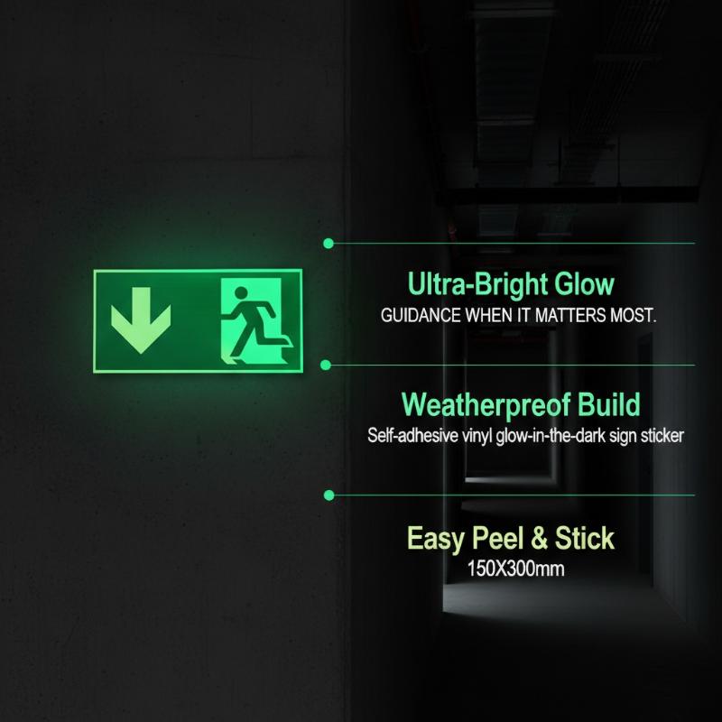 1 Sheet Glow-In-The-Dark Safet - огляд і ціна Emergency Exit Sign
